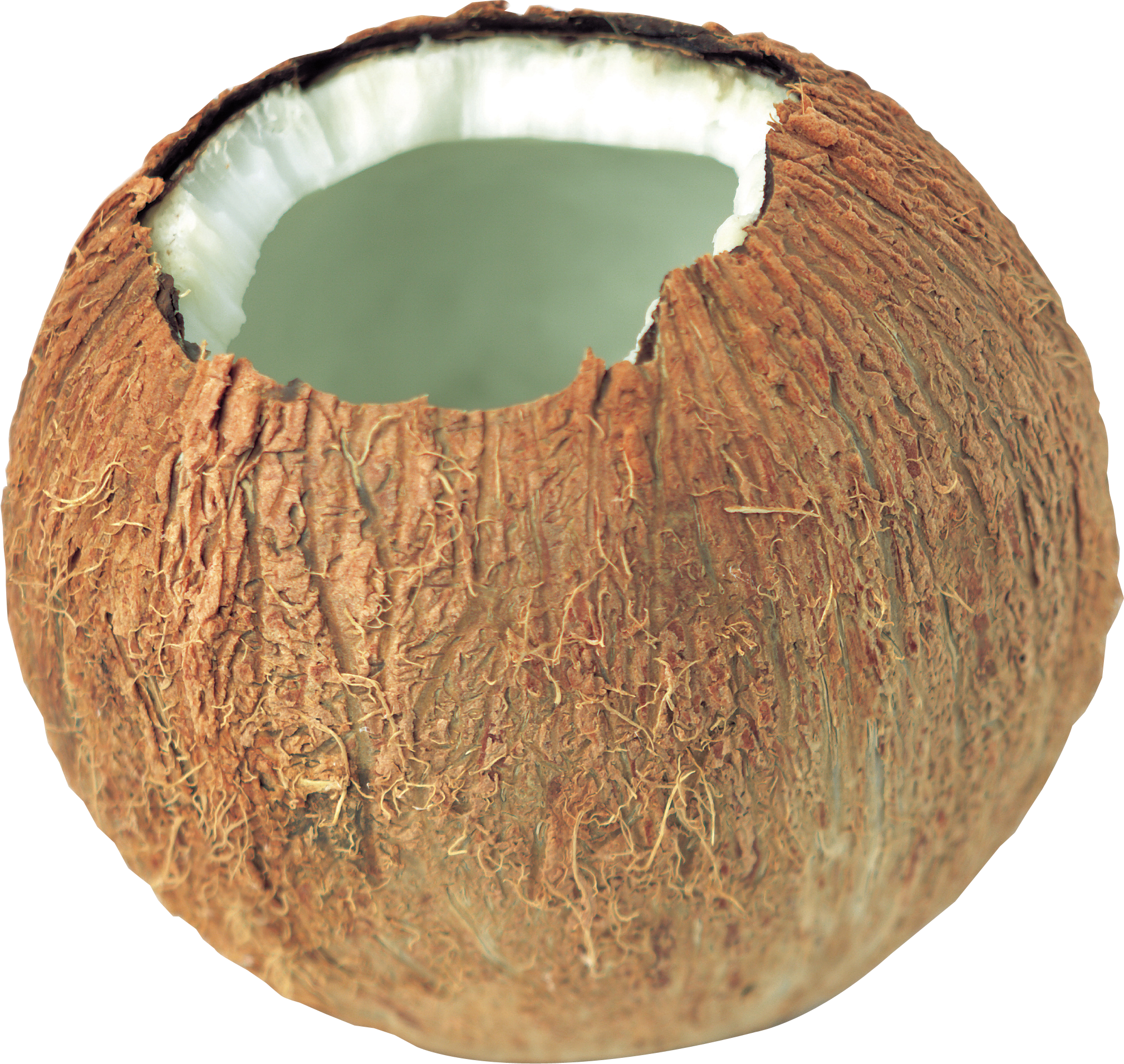Coconut Speaker Png (2019x1912), Png Download