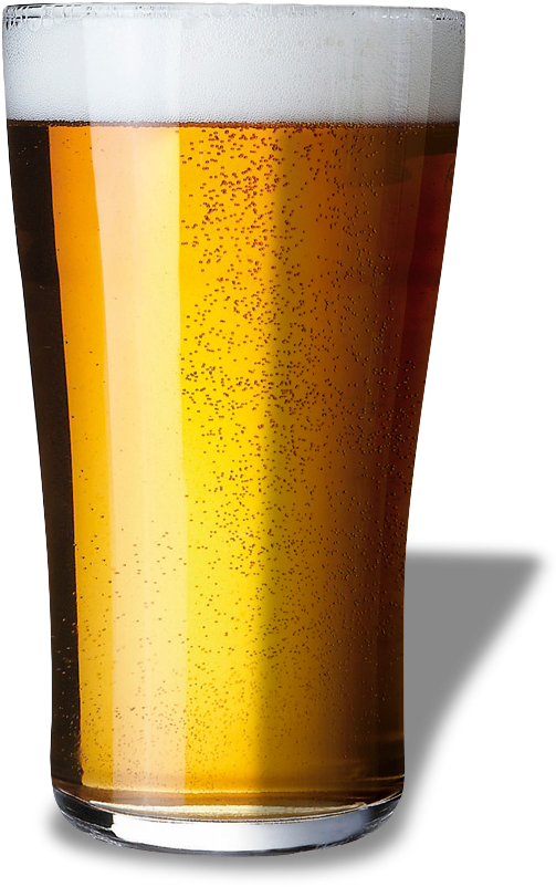 - Beer - Beer (503x811), Png Download