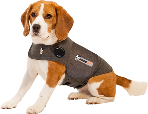 Thundershirt Dog Anxiety Treatment - Dog Thundershirt (600x600), Png Download