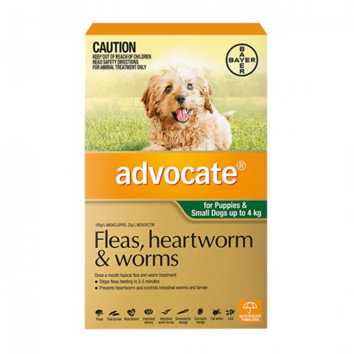 Advocate Small Dog Green-3pk - Advocate Dog (500x765), Png Download