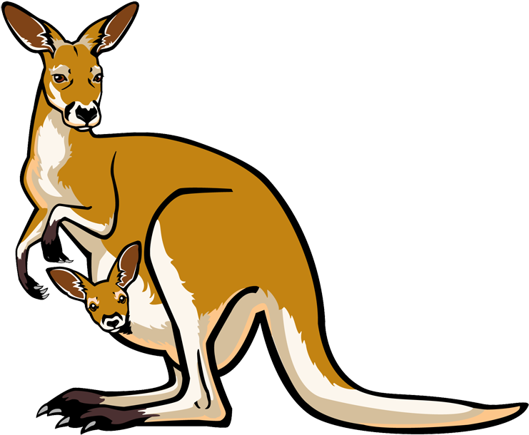 Clip Art Zoo Animals - Kangaroo Clipart (750x622), Png Download