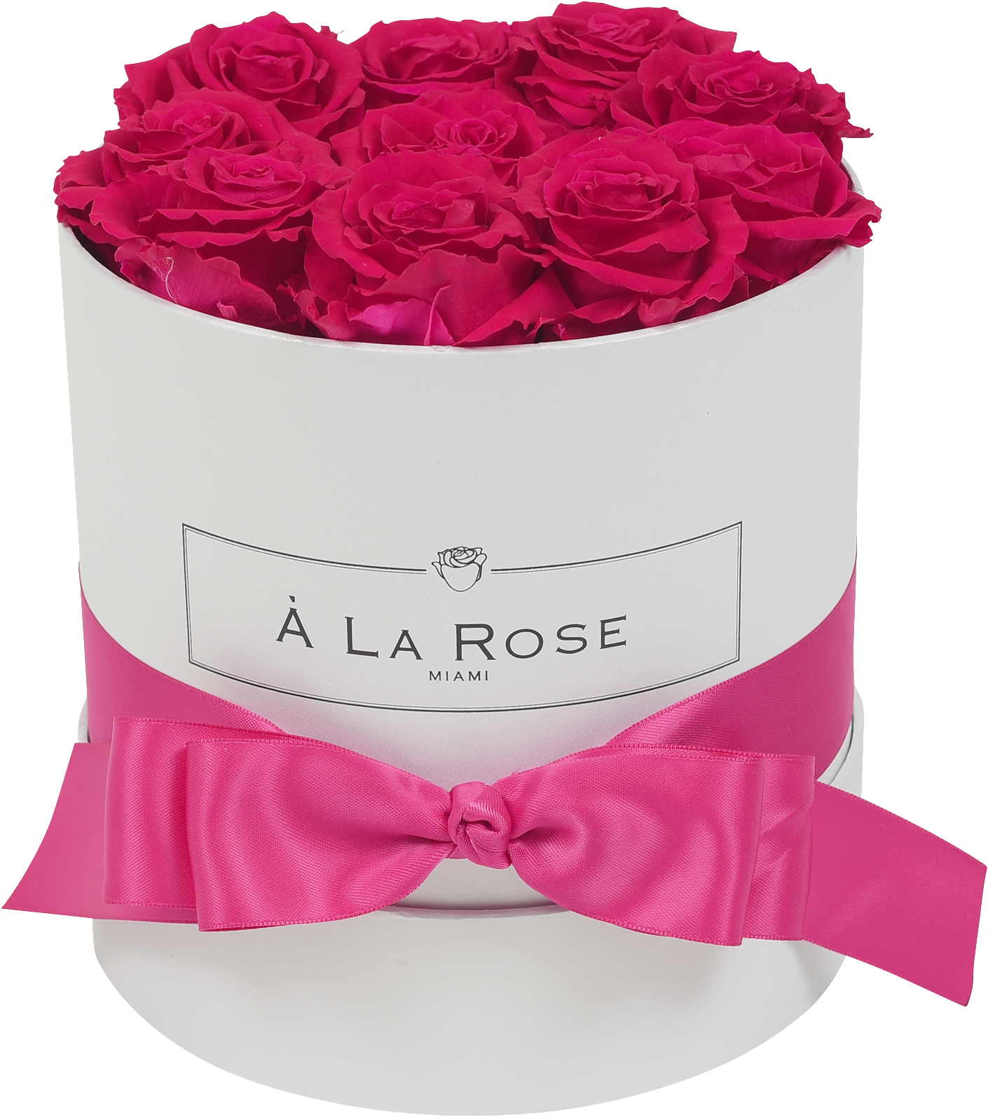 Orb Original Hot Pink Roses (2000x2000), Png Download