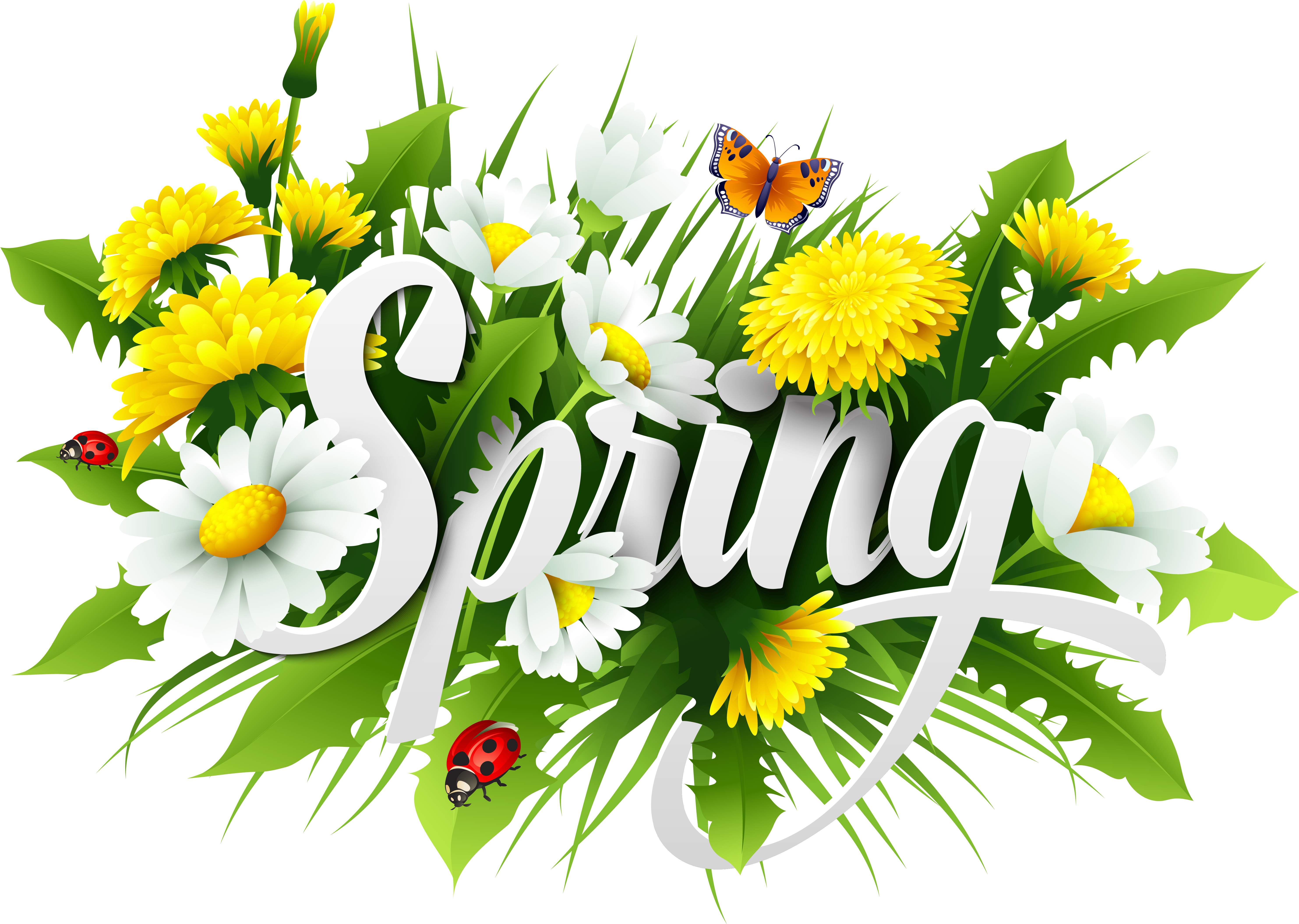 Spring Flower Bouquet Png Download - Free Vector Four Seasons (6127x4358), Png Download