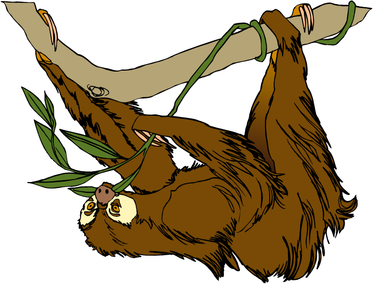 Free Sloth Clipart - Sloth On Tree Clipart (750x573), Png Download