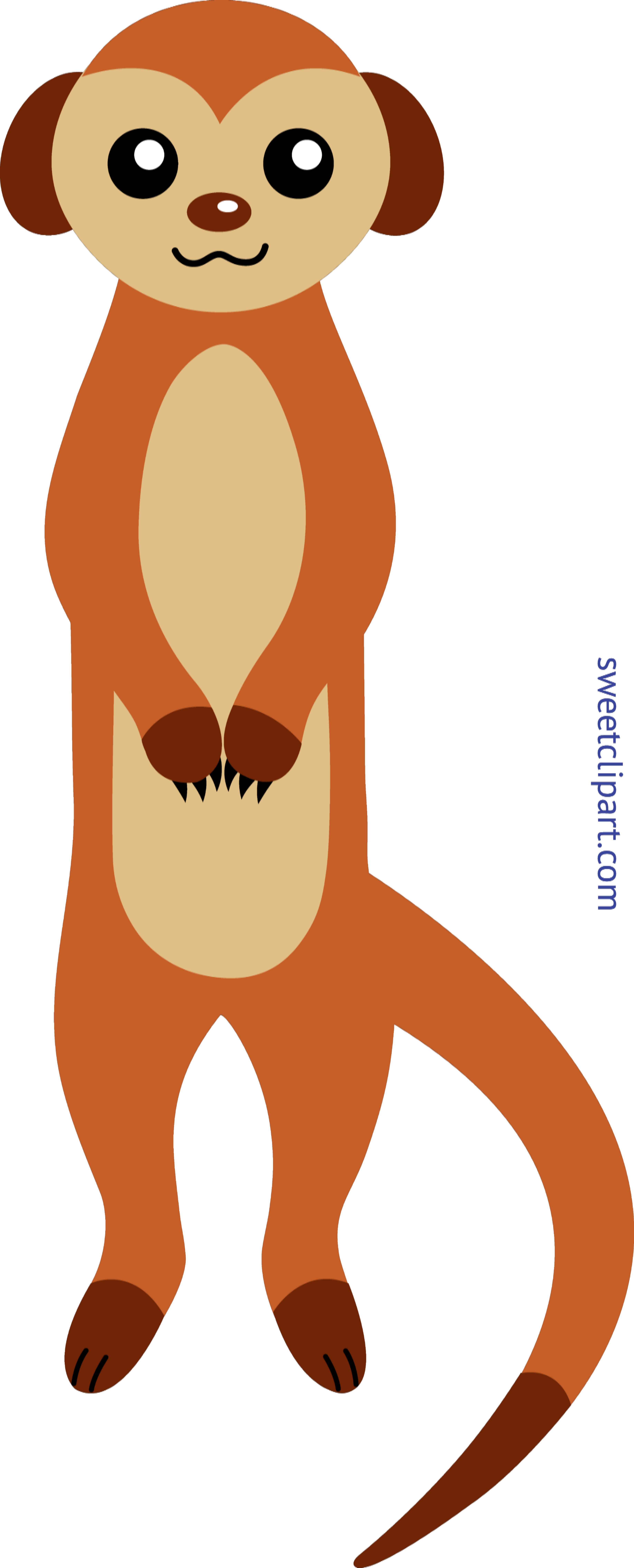 Meerkat Clipart 12 Cm The Meerkats At Melbourne Zoo - Mongoose Clipart (3670x9071), Png Download