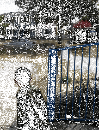 Fence (380x498), Png Download