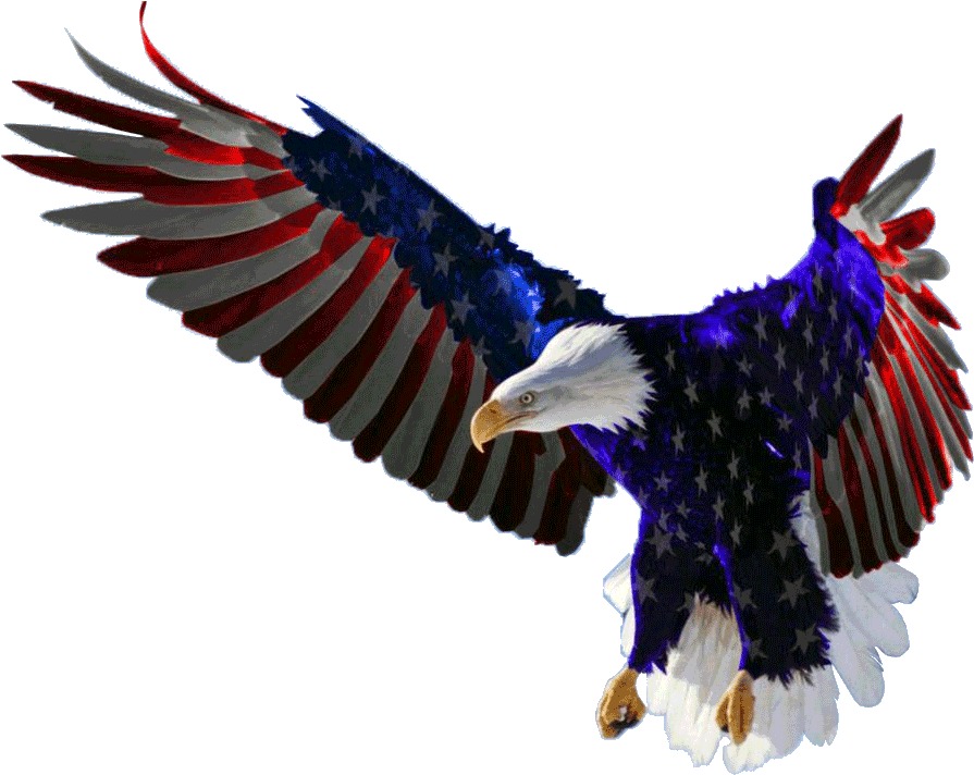 American Eagle Red White And Blue (960x720), Png Download