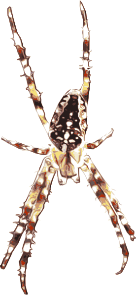 Spider Svg Clip Arts 276 X 595 Px (276x595), Png Download