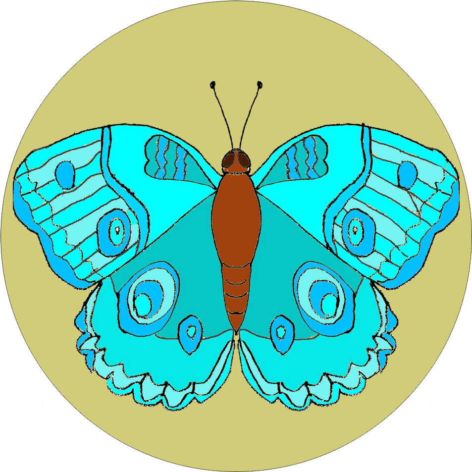 Orange Butterfly Easy Embroidery Kit - Butterfly (1065x1065), Png Download