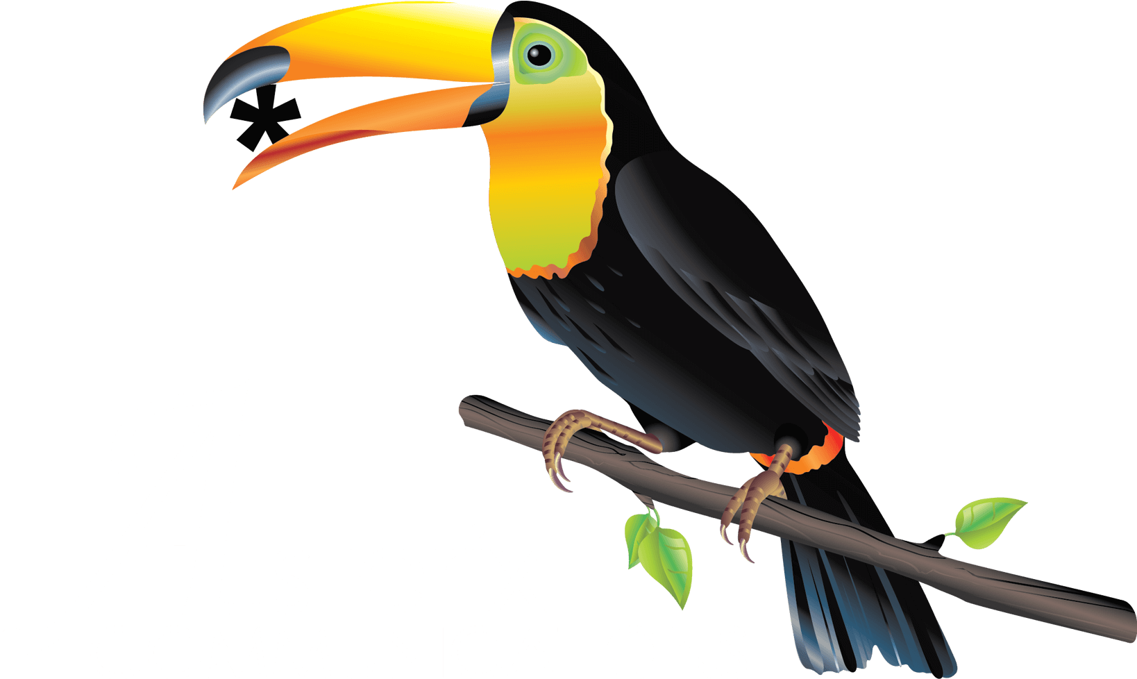 Asterix Logo Jungle - Toucan (1680x1026), Png Download