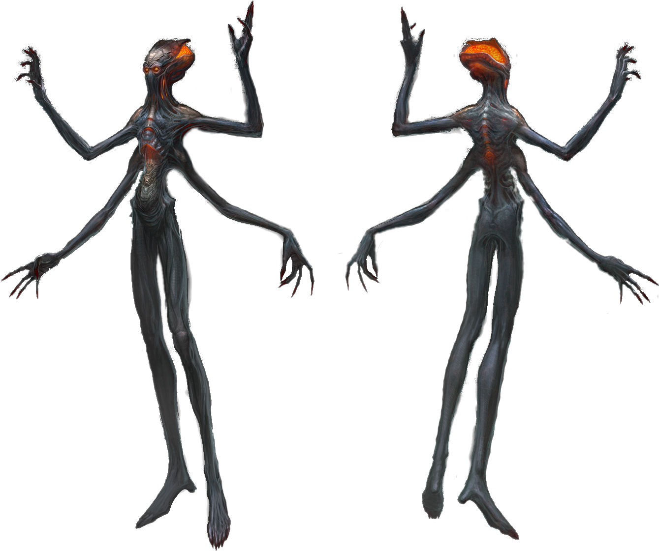 Ethereal Anatomy - Illustration (1513x1200), Png Download