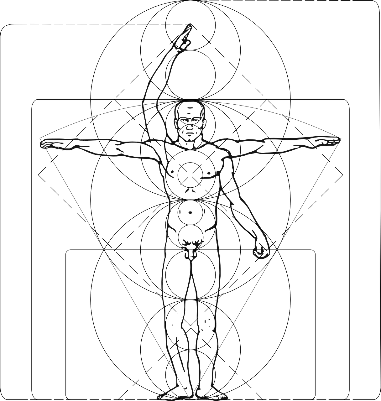Vitruvian Man Animated Gif (1216x1280), Png Download