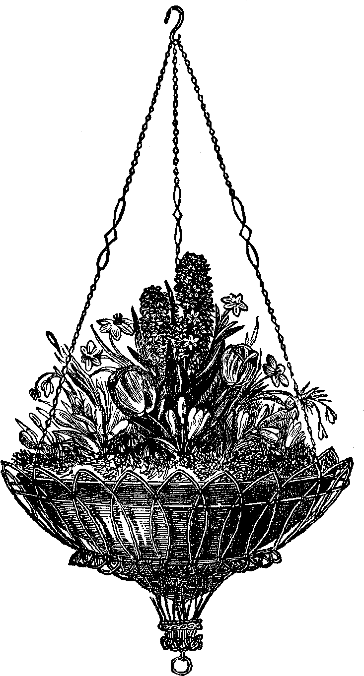 Digital Hanging Flower Basket Downloads - Basket Plant (900x1492), Png Download