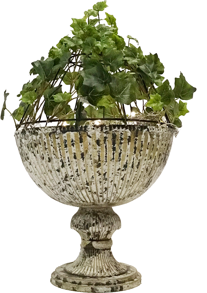 After I Attached The Ivy With Floral Wire, I Took A - Flowerpot (1000x1000), Png Download