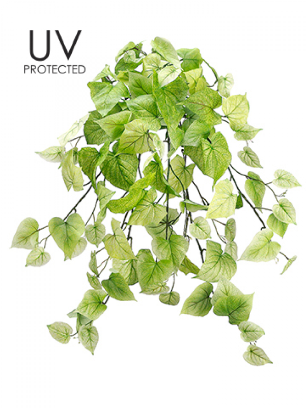 29" Uv Protected Potato Leaf Hanging Bush Light Green - Potato Leaf (800x800), Png Download