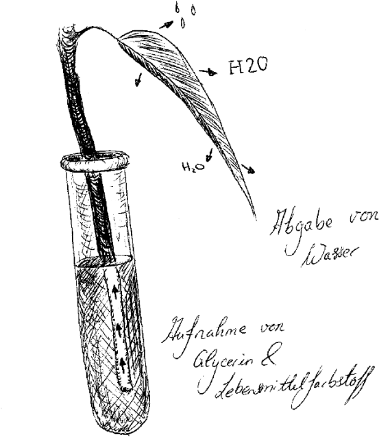 Veranschaulichung Des Konservierungsprozesses - Product (800x749), Png Download