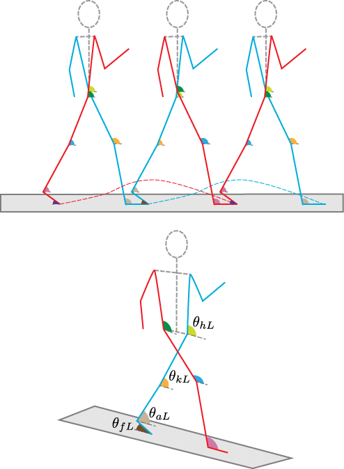 Illustration Of Human Walking, Which Shows Joint Angles - Diagram (494x673), Png Download