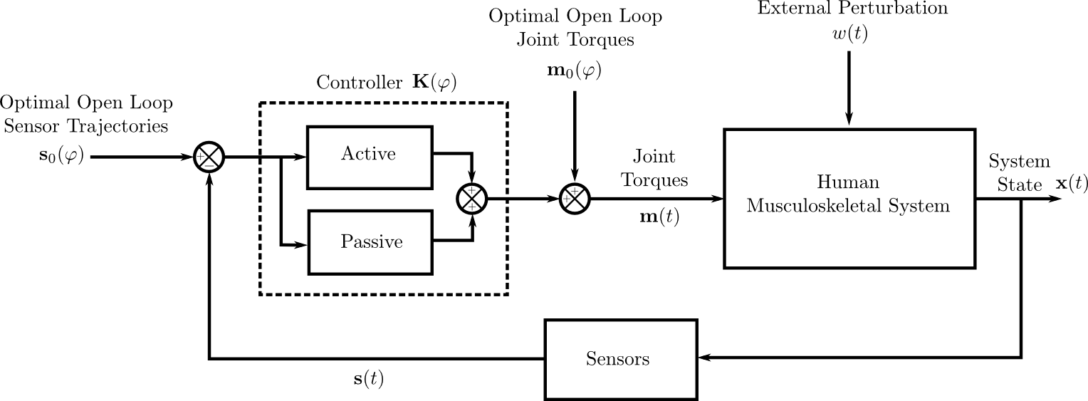 Papers - Human Being Control System (1528x563), Png Download