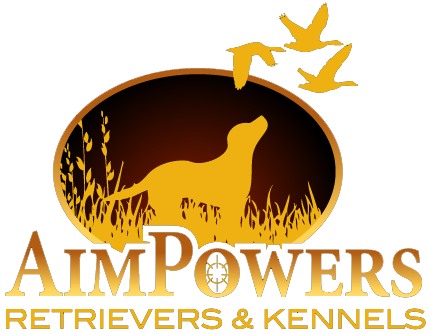 Aim Powers Retrievers - South Carolina (524x346), Png Download