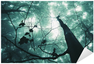 Tree In A Magical Forest With Green Fog Sticker • Pixers® - Beauty Magic Picture Nature (400x400), Png Download