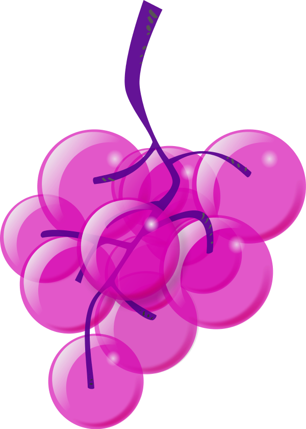 Vector Clip Art - Custom Green Grapes Shower Curtain (600x840), Png Download