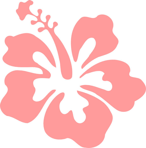 Clipart Hibiscus Flower Coral Hibiscus Md - Hibiscus Flower Clip Art Black And White (594x601), Png Download