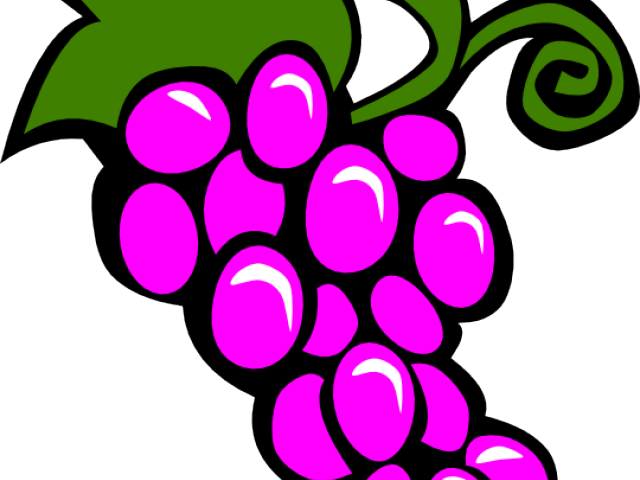 Grapes Clipart Vector - Grapes Clip Art (640x480), Png Download