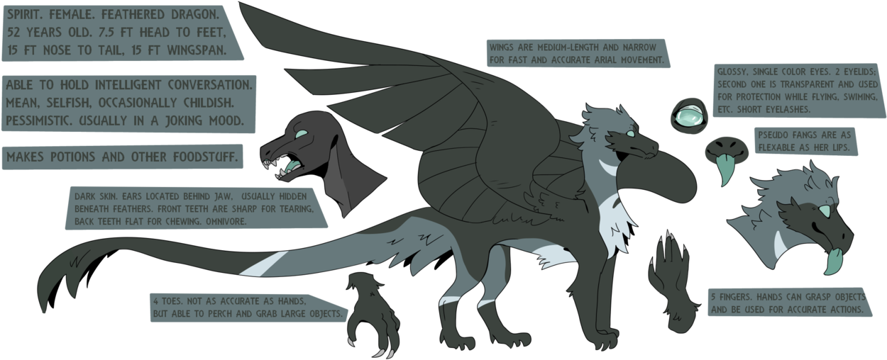 Idk I Made A New Ref For My Dragon Babe - Illustration (1280x526), Png Download