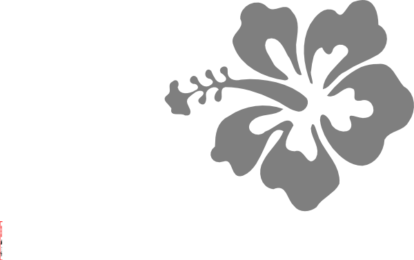 How To Set Use Coral Hibiscus Svg Vector (600x377), Png Download