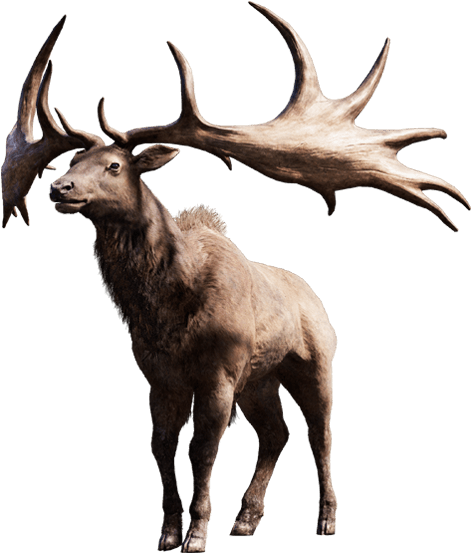 Far Cry 4 Animales (557x566), Png Download