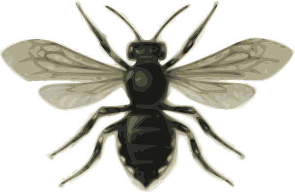Free Vector Bee Clip Art - Bee Clip Art (600x390), Png Download