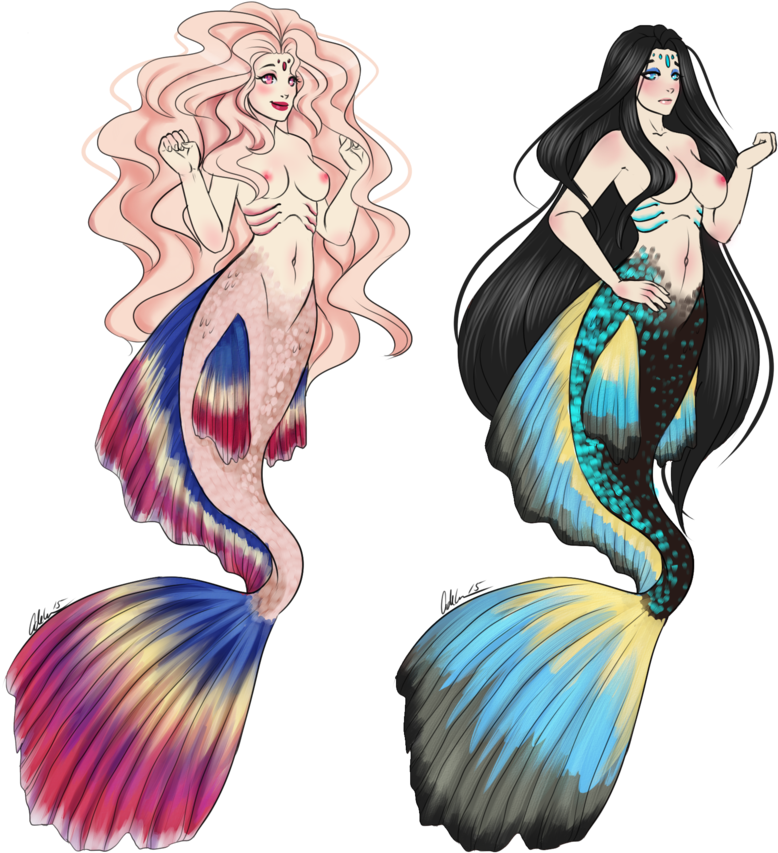 Betta Mermaid Adopt Closed By Akira-raikou On Deviantart - Siamese Fighting Fish Mermaid (886x902), Png Download