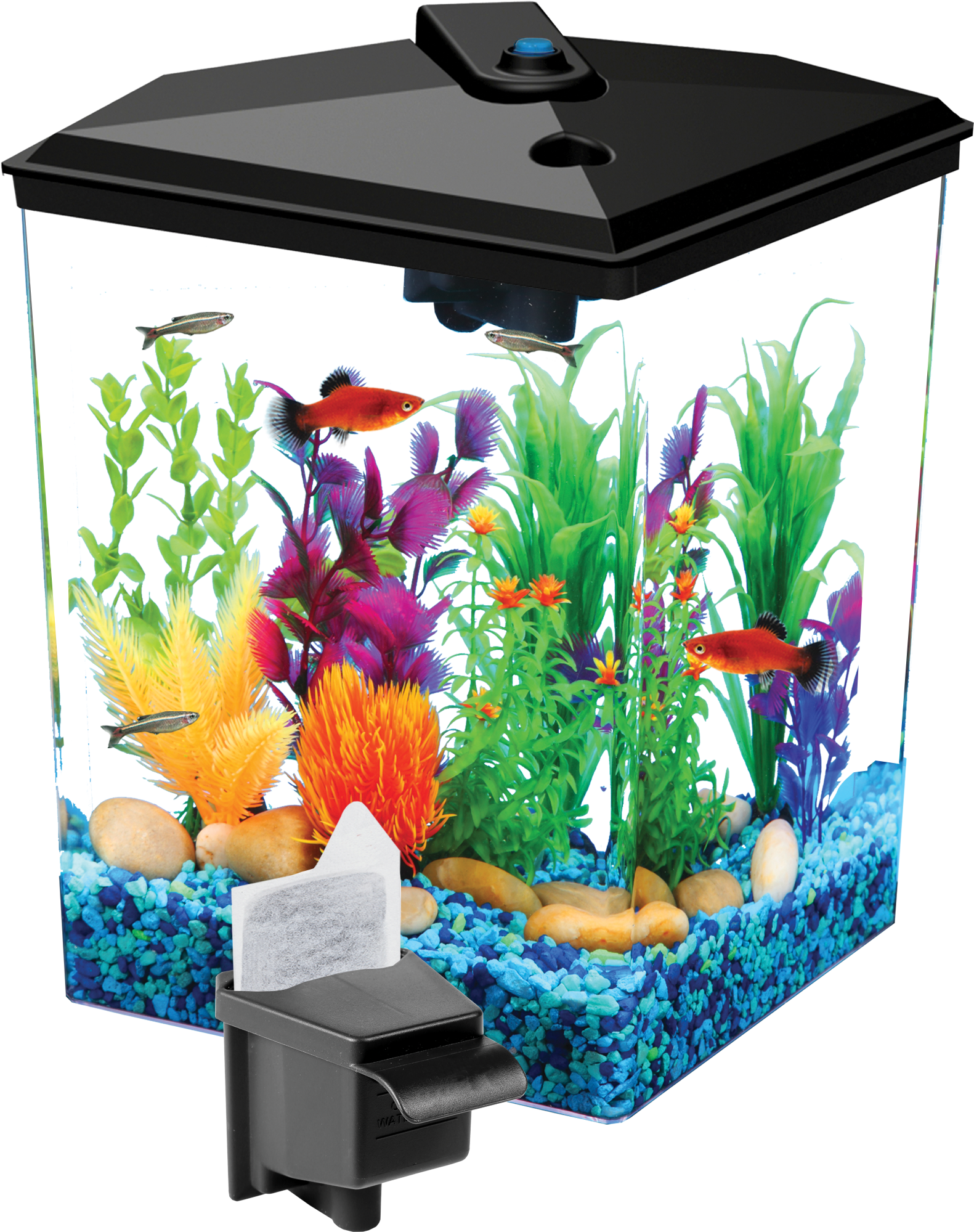 Aqua Culture Gallon Aquarium With Led Lighting And - Aqua Culture 2.5-gallon Corner Aquarium Kit (2276x2276), Png Download