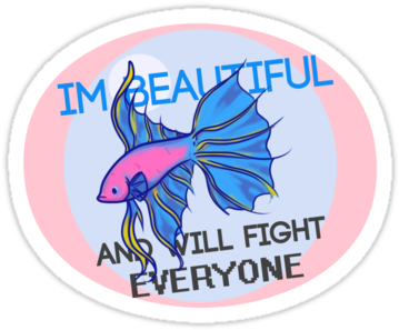 A Crown Tail Betta/siamese Fighting Fish So You Can - Butterfly Kick (375x360), Png Download