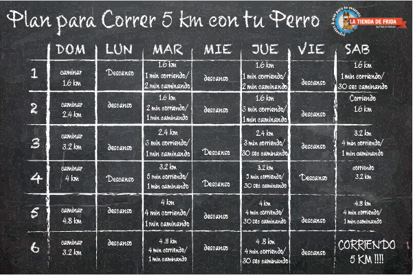 Corre Con Tu Perro 5km Pizarron Entrenamiento 5k - Tener Condición Para Correr (601x401), Png Download