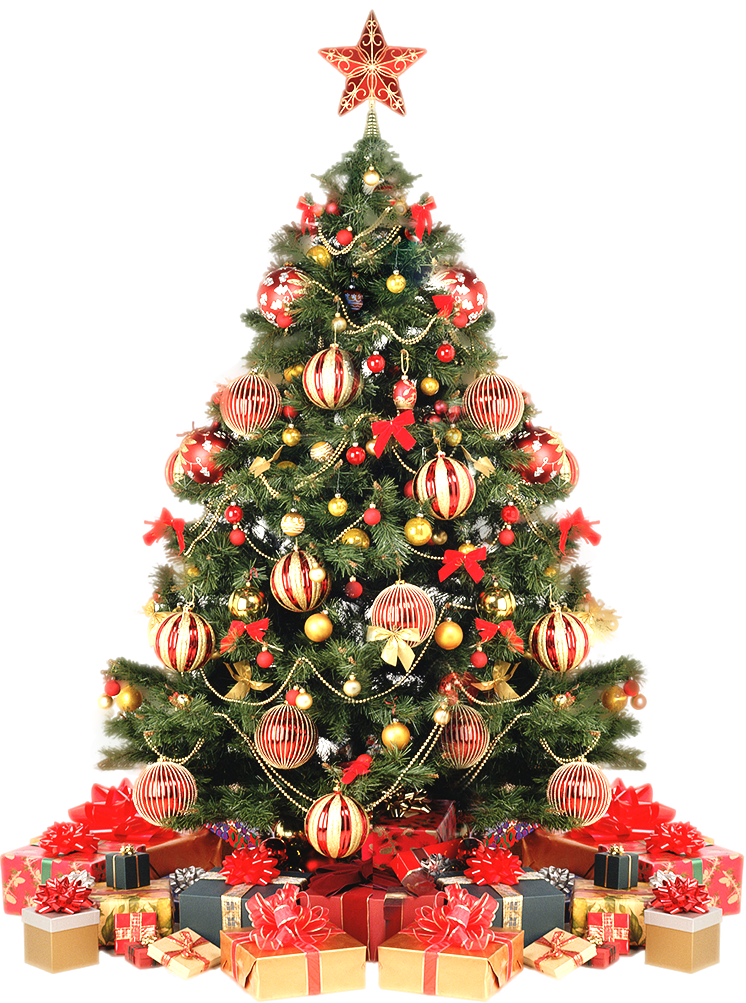 Christmas Tree With White Background (746x1003), Png Download