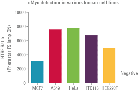 10 Μl Of Lysate Was Transferred Into A 384 Well Sv - Diagram (464x305), Png Download