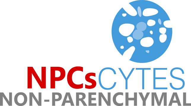 Cytes Biotechnologies, S - Liver (644x357), Png Download