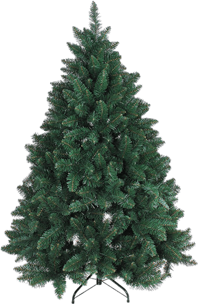 Árvore De Natal Verde - Fraser Fir Christmas Trees (429x500), Png Download