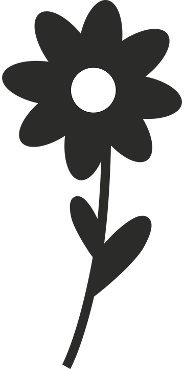 Dandelion Clipart Minimalist - Flor Minimalista Png (360x720), Png Download