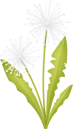 Dandelions - Tinker Bell (285x500), Png Download