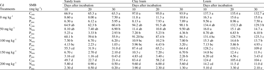 Elegant Soil Texture Png - Number (850x226), Png Download