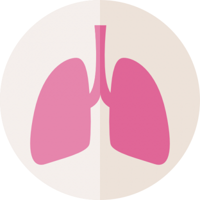 Lungs Icon Pictures Png Images - Heart And Lungs Png (400x400), Png Download