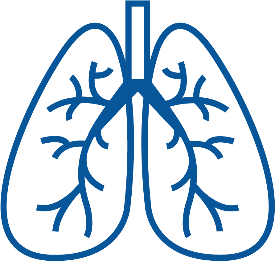 An Under-diagnosed And Expensive Condition - Organ Systems Icon Png (900x900), Png Download