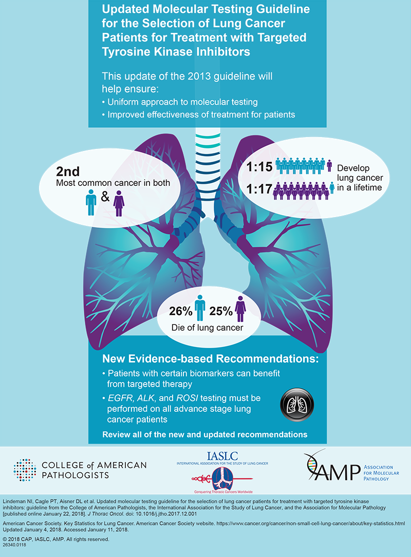 Lung Cancer Guideline Infographic - Guideline Lung Cancer 2018 (800x1085), Png Download
