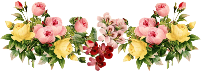 Png Flower Images With Transparent Background Transparent Background Flowers Png Full Size Png Download Seekpng