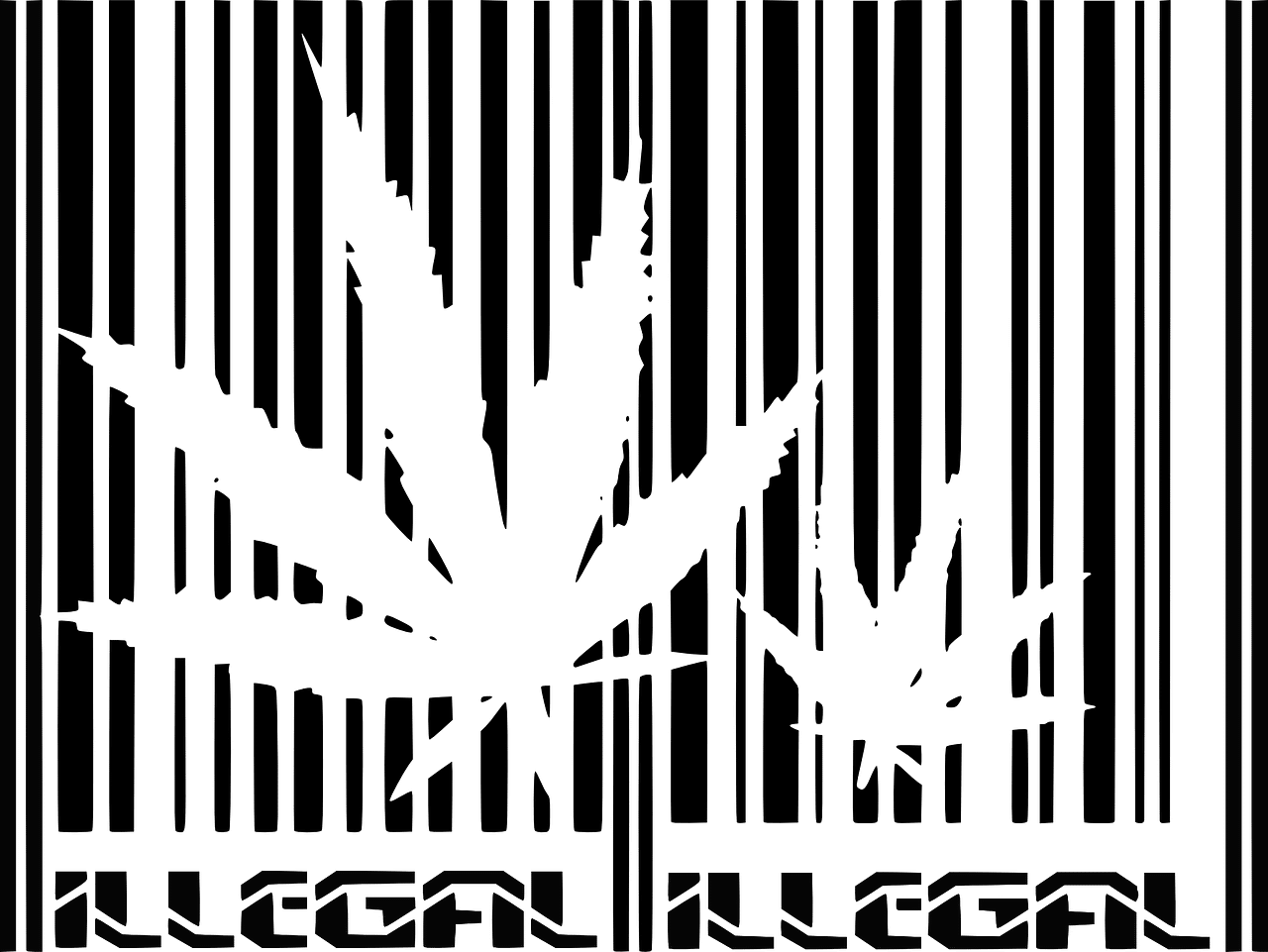 Cannabis Y Autismo - Weed Barcode (1280x961), Png Download