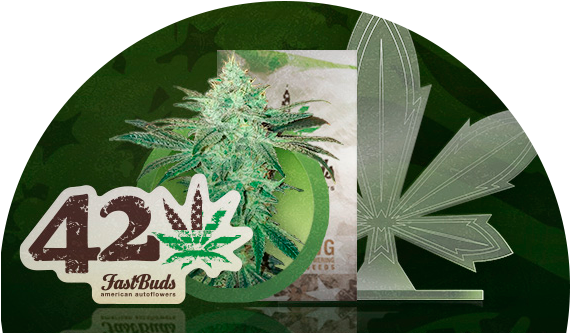 Encuéntralas En Cannabis Club - Label (569x340), Png Download
