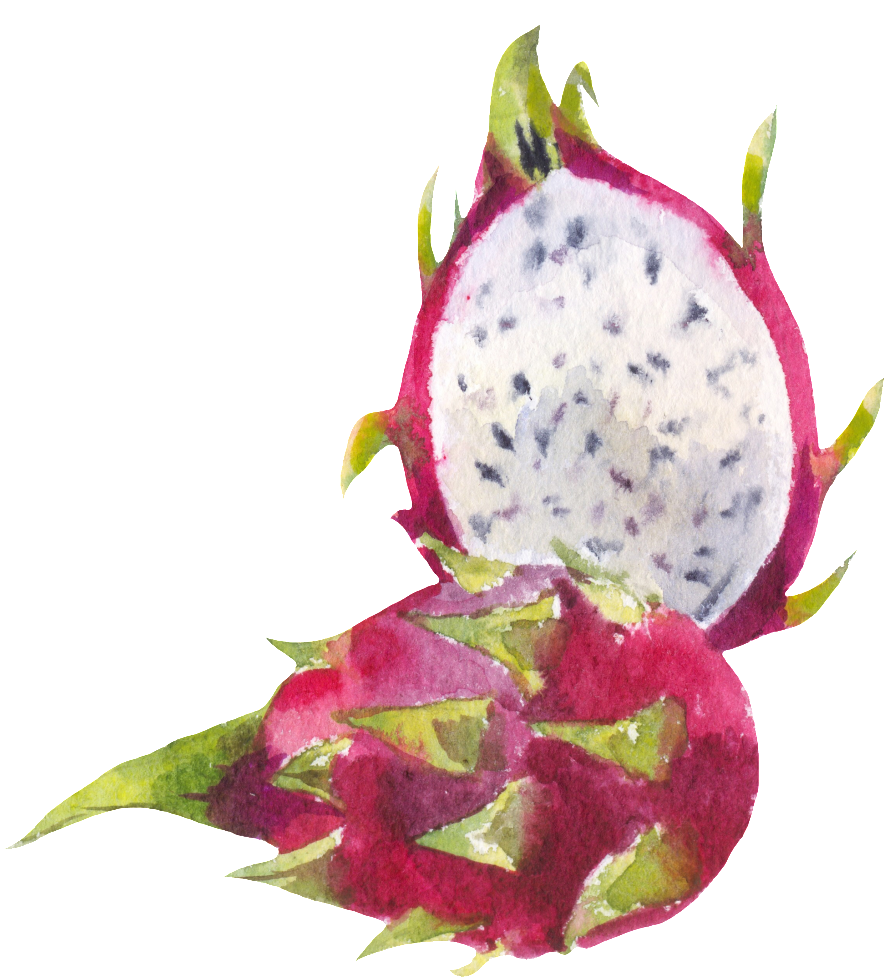 Cut Dragon Fruit Png Transparent - 火龍 果 手繪 (1024x1107), Png Download
