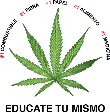 Marihuana Medicinal - Uses For Cbd (451x461), Png Download